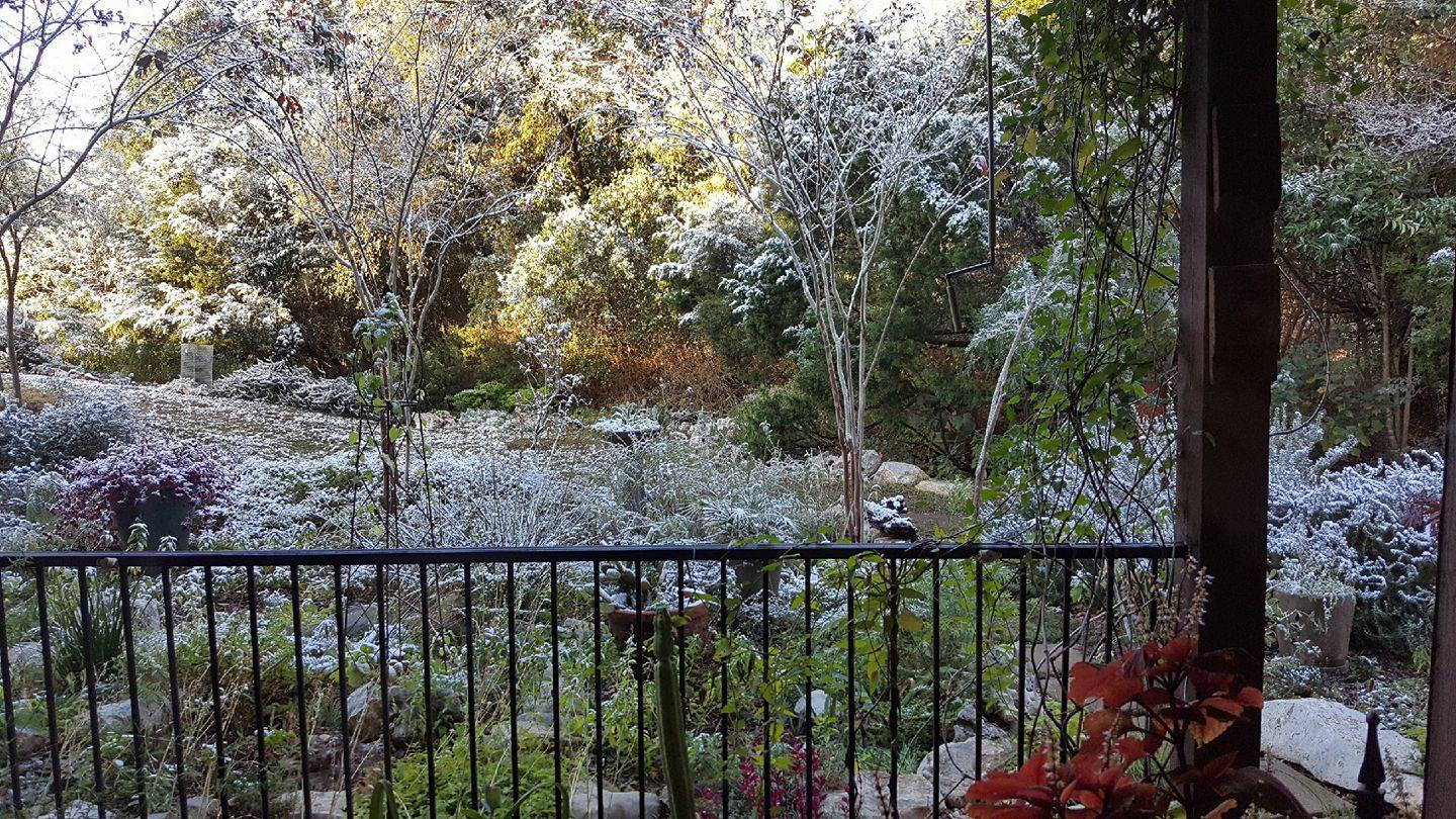 Mid-December 2017 Newsletter newsletter